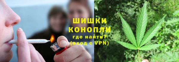 ПСИЛОЦИБИНОВЫЕ ГРИБЫ Алагир