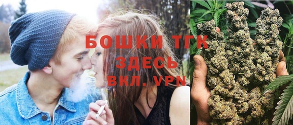 ПСИЛОЦИБИНОВЫЕ ГРИБЫ Алагир