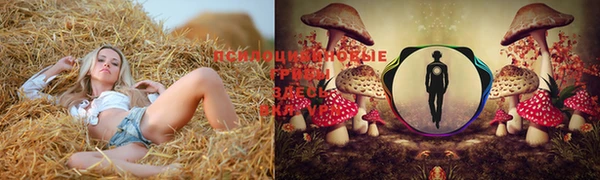 трава Алапаевск