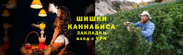 ПСИЛОЦИБИНОВЫЕ ГРИБЫ Алагир