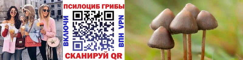 Псилоцибиновые грибы MAGIC MUSHROOMS  Избербаш 