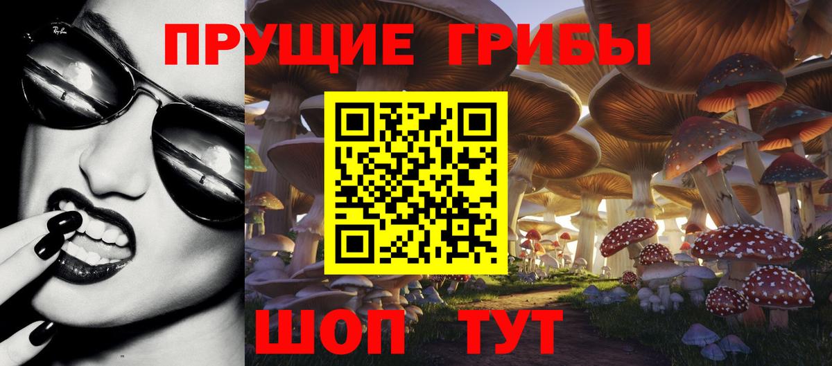 Галлюциногенные грибы Magic Shrooms Избербаш