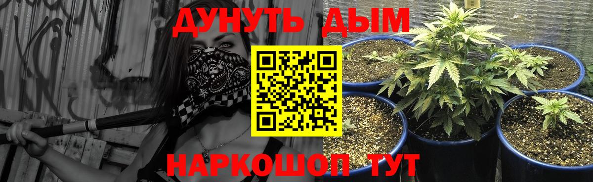 Каннабис White Widow  Вход с VPN  Конопля планчик  Избербаш  МАРИХУАНА Ganja 